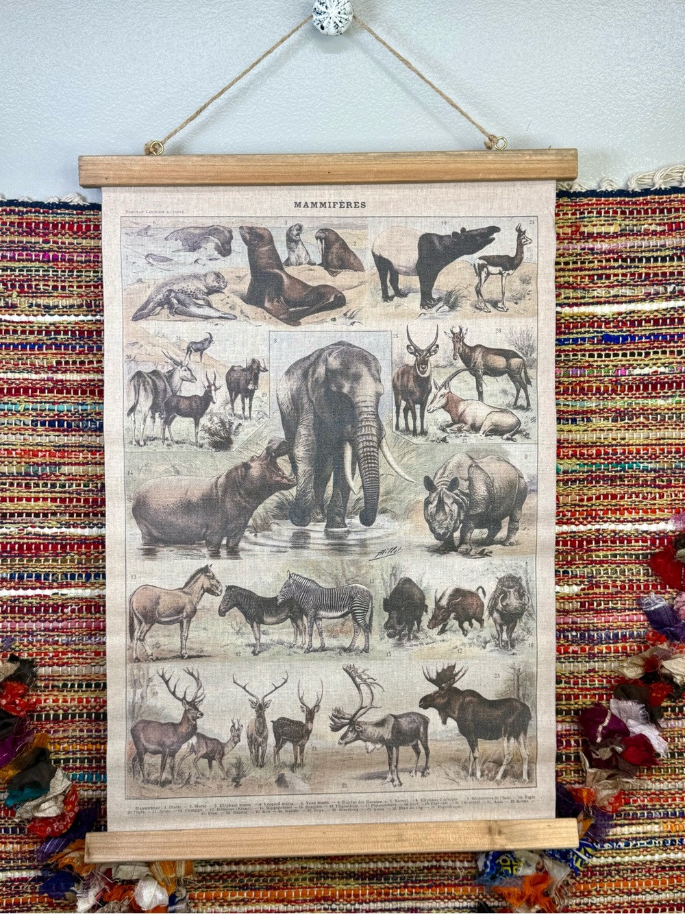 Vintage educational wall chart titled "Mammifères" (Mammals) Art